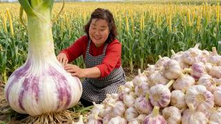 满院大蒜丰收啦！根茎叶皆是美味，每一口都是自然的馈赠！【唐小米】