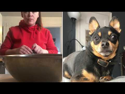 Huey Lewis and Devin make soft pretzels :)