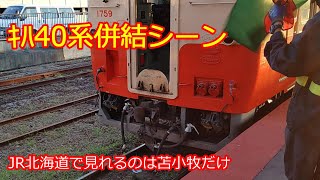 【苫小牧駅限定ｷﾊ40系併結シーン】山明1790番＋国鉄一般色1759番