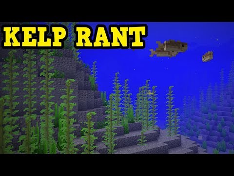 How To Find Kelp Minecraft 01 2022