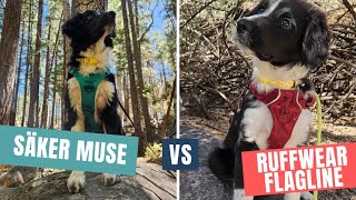 Harness Comparison: Säker Muse vs. Ruffwear Flagline