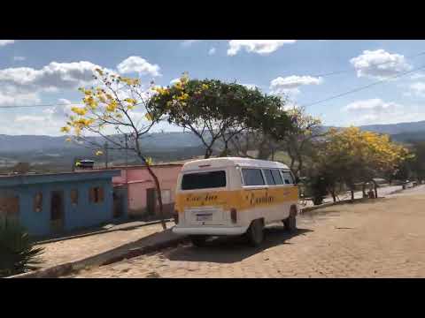 Ipês pela cidade de Minduri Mg!