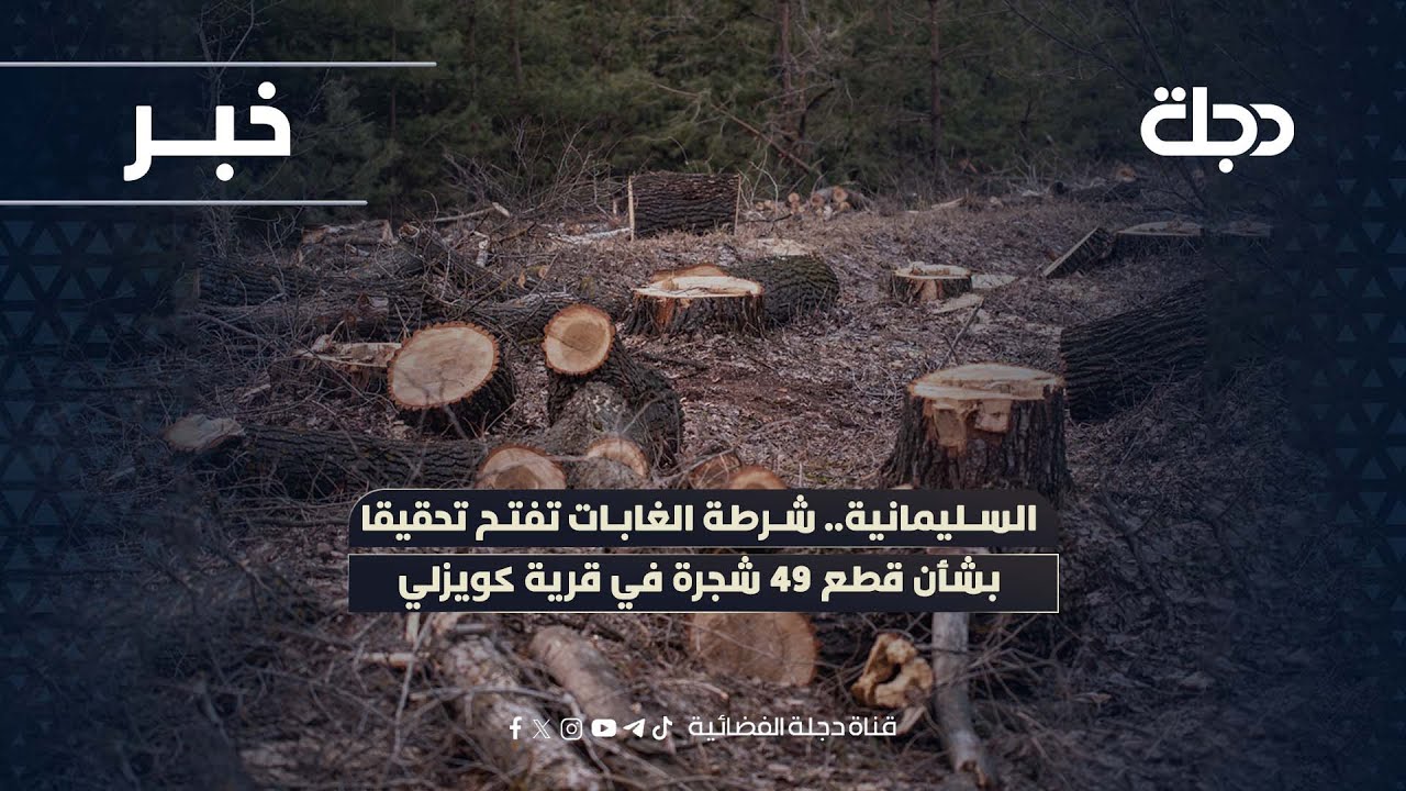 فيديو | السليمانية.. شرطة الغابات تفتح تحقيقا بشأن قطع 49 شجرة في قرية كويزلي