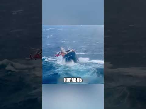 Капитан покинул ТОНУЩИЙ КОРАБЛЬ САМЫМ ПОСЛЕДНИМ🤩🌊🚢