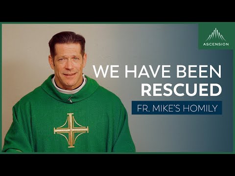 "Otherwise" | 33rd Sunday in Ordinary Time (Fr. Mike's Homily) #sundayhomily