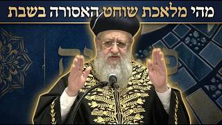 מהי מלאכת שוחט האסורה בשבת? I מרן הראשון לציון הגאון רבי דוד יוסף שליט"א #הרב_דוד_יוסף #הלכה