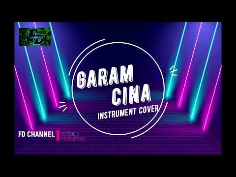 (GARAM CINA) instrument cover