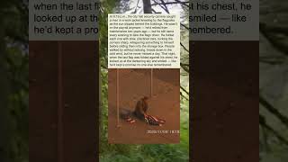 &quot;He Folded the Flags Alone&quot;