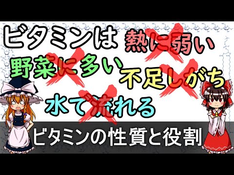 水の 10 の利点 – その役割と性質