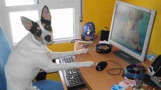 Alvin y las ardillas -El Aguitado jorge valenzuela