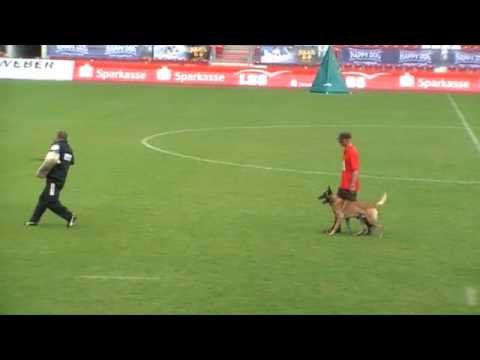 WK FMBB 2010 - Peter Sherk - Protection - Grand Finale