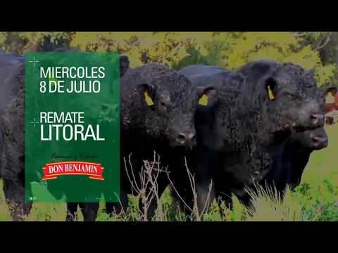 Cabaña Don Benjamín - Remate Cabañas Integradas Santafesinas -   Miércoles 8 de Julio de 2020