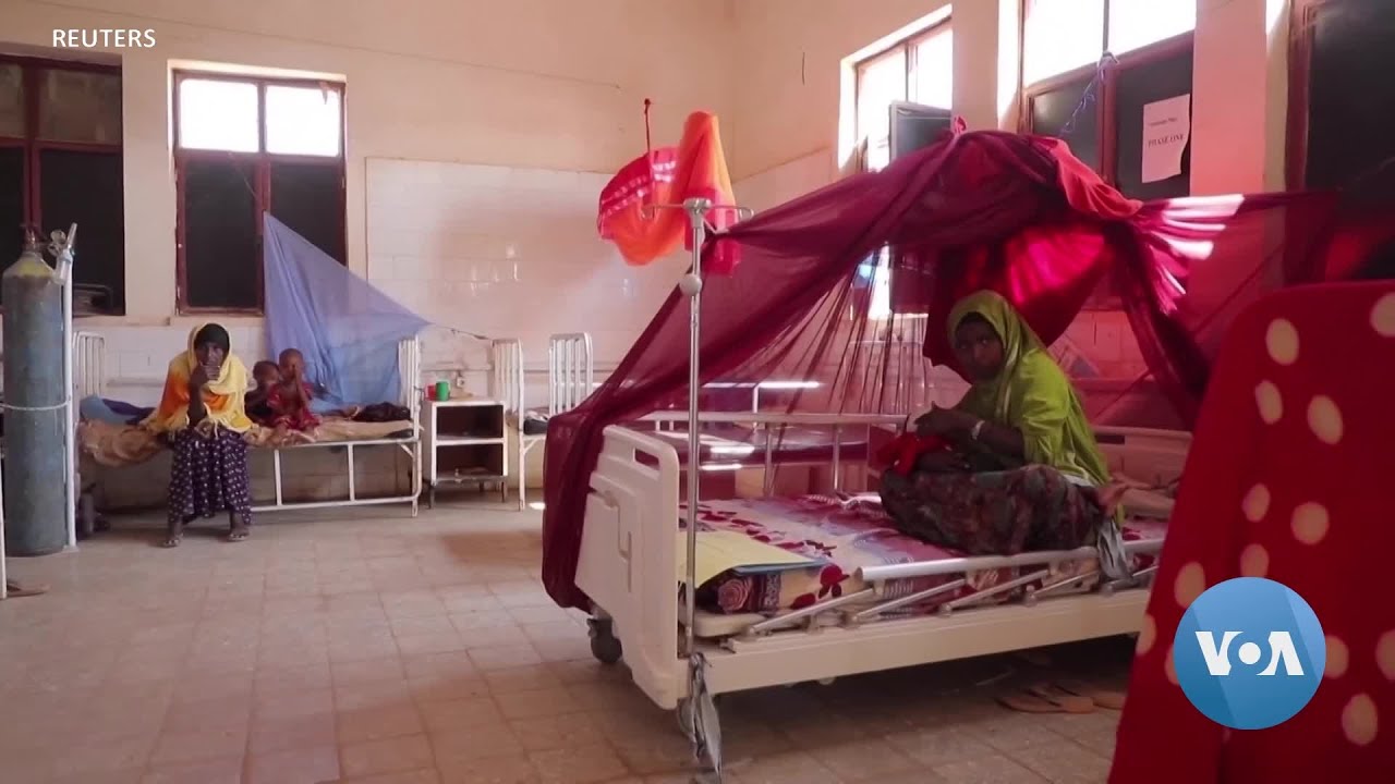 UN: Around 730 children dead In Somalia nutrition centres