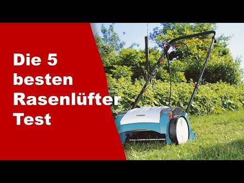Rasenlüfter Test ✔️ Top 5 besten Rasenlüfter Test 2025 ( Aktualisiert )