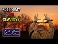 Andy White:  Freedom? OR Slavery?