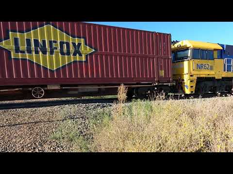 NR38 & NR62 Koroo NSW.   Sun 05th Feb 2023.