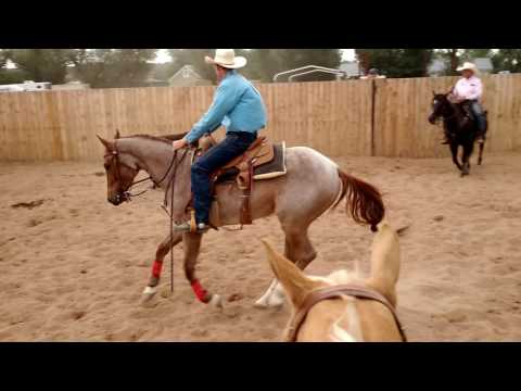 Les Vogt Clinic - Boon on cows Day One