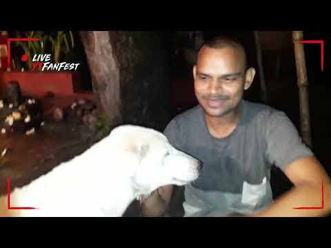 Kutte ki khoobi....part-1