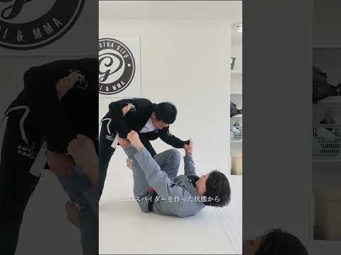 【強力スイープ】スパイダーガードからエックスガードを経由した強力なスイープ #ブラジリアン柔術 #bjj #格闘技 #mma #総合格闘技