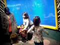 Chaki Chuckecheeses 2010