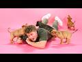 Robert Irwin The Puppy Interview