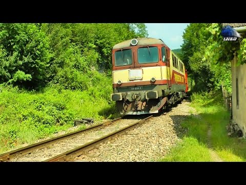 Fluieroasa/Whistle Loco 60-1006-0 cu Marfar TFG/with TFG Freight Train in Apuseni Mountains