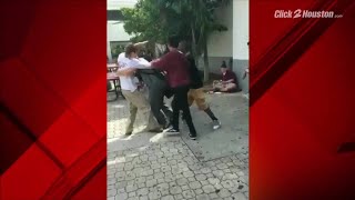 Video surfaces of Parkland suspected shooter fighting at school