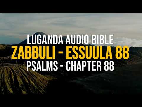 Zabbuli   Essuula 88