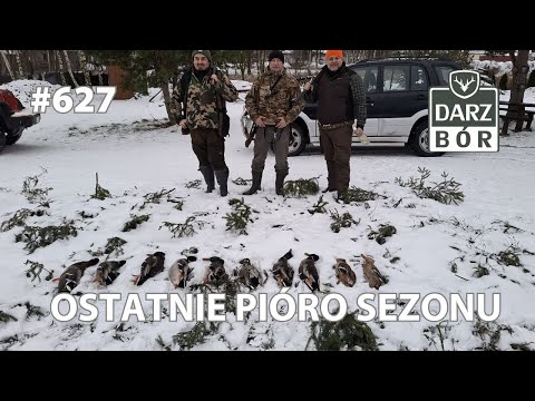 Darz Bór 627 - Ostatnie pióro sezonu... Pożegnanie z kaczkami.