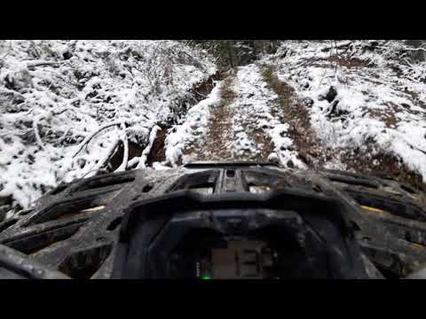 Rumunsko Perla Padurii 10