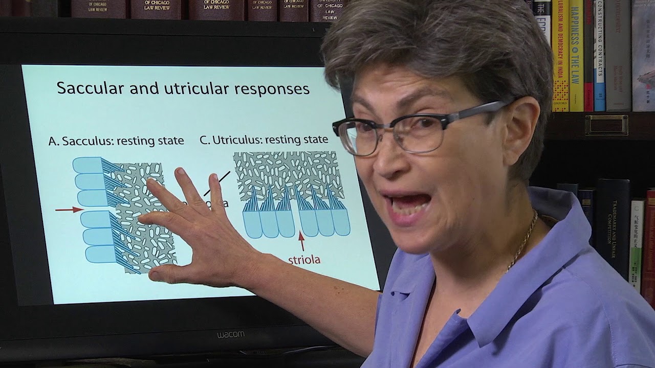 13.7 Linear Acceleration