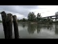 Jason Webley May Day Livestream - continued - Jason Webley Jason Webley May Day Livestream - continued