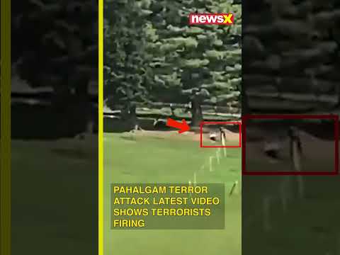 Pahalgam Terror Attack: New Video Surfaces Showing Terrorists Firing at Security Forces