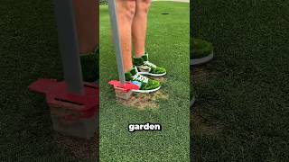 Download lagu He brings his garden back to life in just a few steps 🌱 mp3 Download lagu He brings his garden back to life in just a few steps 🌱 mp3