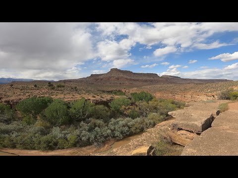 JEM and Cryptobionic Trail 04-23-2022