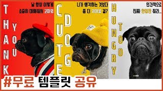 [PPT 템플릿] 타이포그래피 귀여운 강아지 무료 ppt템플릿 / 템플릿 알려주는 남자 / 마이텔링