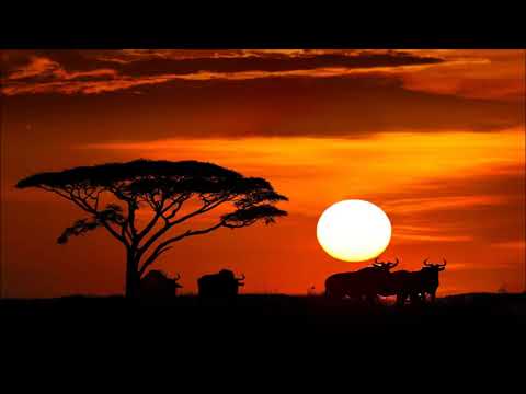 Team Distant, Xelimpilo - Tribal Movement (Original Mix)