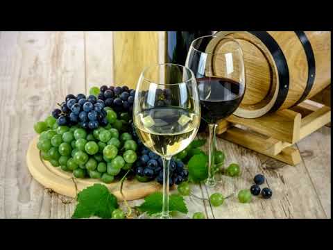 download lagu mp3 mp4 La Crema Di Morro D Alba, download lagu La Crema Di Morro D Alba gratis, unduh video klip La Crema Di Morro D Alba