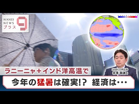 ドイツの熱波:研究者らは警告 – 「彼らはさらに悪化すると予想している」