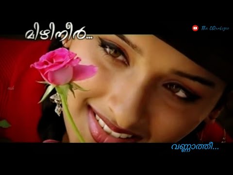 Vannathi | HD | Mizhineer | Soumya Menon | Syam Dharman | Best Malayalam AlbumSong Ever | Melomaníac