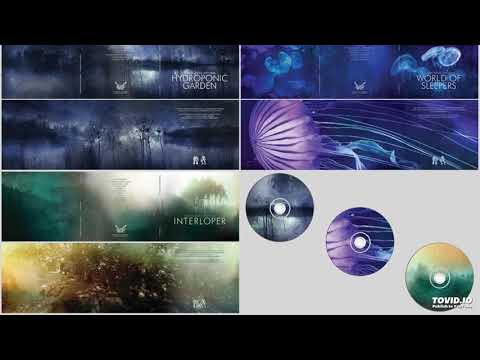 Carbon Based Lifeforms - ChillMix Psybient  Vol. 1