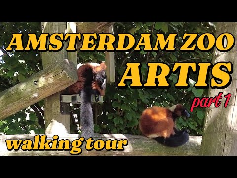 🇳🇱 ARTIS ZOO AMSTERDAM - WALKING TOUR | 4K UHD | part 1