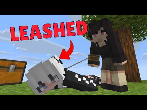 THEY ADDED DOG COLLARS TO MINECRAFT