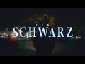 LEA Schwarz Visualizer by LEA 4 months LEA Schwarz Visualizer by LEA 4 months