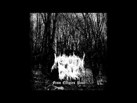 MEGALITH GRAVE (Usa) - Decrepit and Forgotten