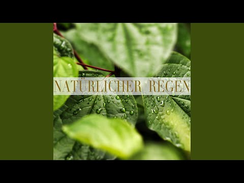 Dem Alltag Entfliehen