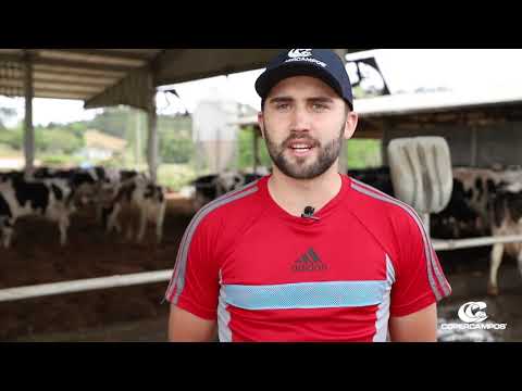 Aumento na produção de leite com Rações NutriCoper