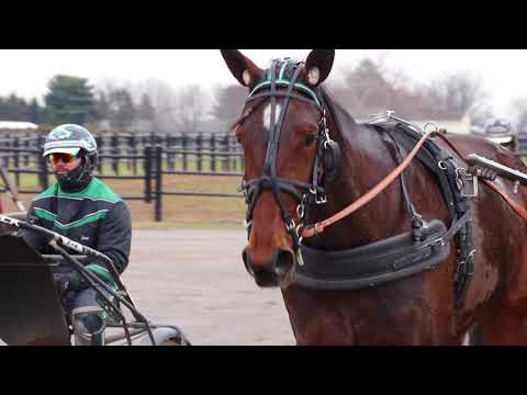 Manchego - No. 1 in Hoof Beats Predictive Trotting Rankings