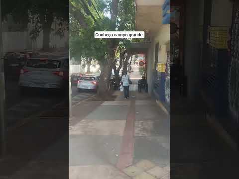 campo grande mato grosso do sul conheça Pantanal