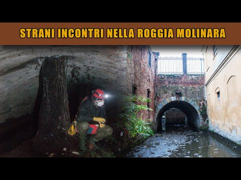 Esplorazione della Roggia Molinara di Vercelli